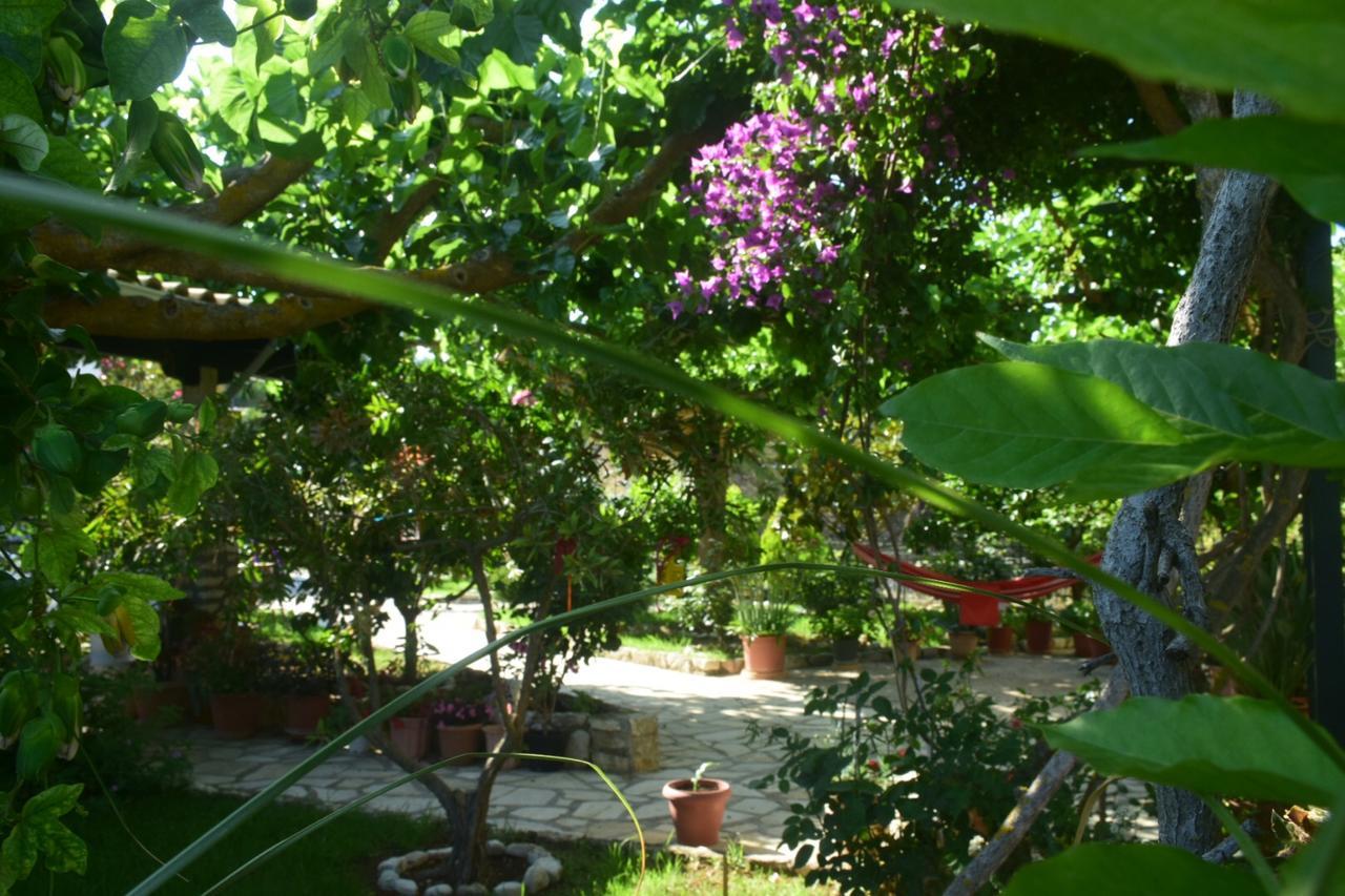 Sparto Village Spartokhórion المظهر الخارجي الصورة